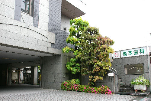 道路からの進入路